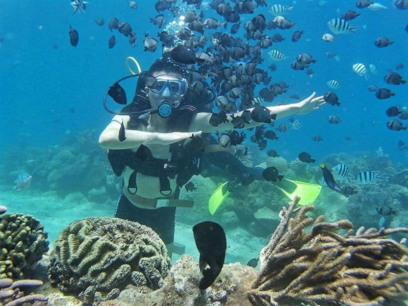 du lịch, miền trung, bạn đã biết nét độc đáo khu du lịch vịnh san hô nha trang hay chưa?