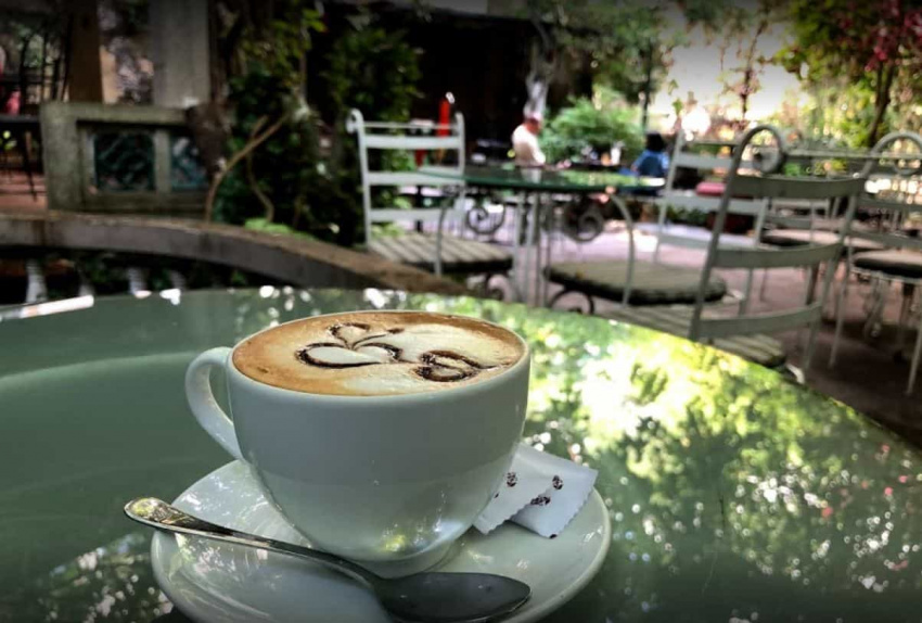 cà phê nguyễn trọng tuyển, cà phê phú nhuận, 5 quán cà phê xanh nhất đường nguyễn trọng tuyển