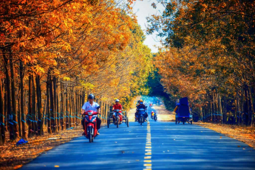 Tây Ninh – Vẻ đẹp bình dị của vùng đất đầy nắng và gió