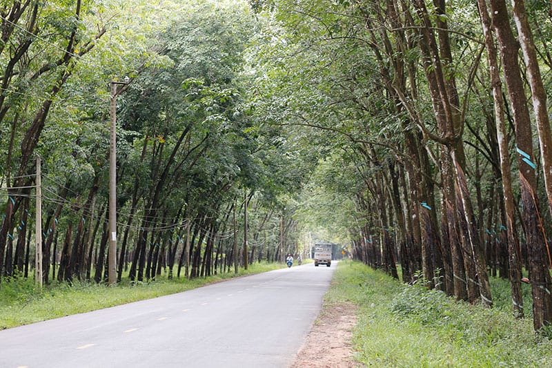 chùa gò kén, chùa tòa thánh, đi phượt tây ninh, chuyến phượt tây ninh 100km khám phá chùa tòa thánh và gò kén