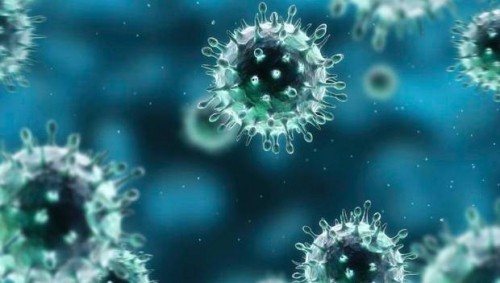 10 virus nguy hiểm nhất hiện nay bạn nên biết