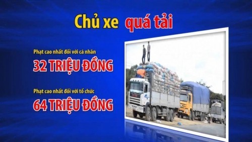 8 luật giao thông đường bộ cơ bản nhất nên biết