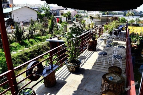 10 quán cafe trong rừng đẹp nhất ở Đà Lạt