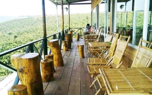 10 quán cafe trong rừng đẹp nhất ở đà lạt