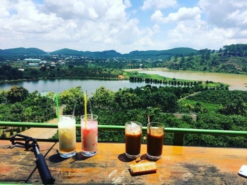 10 quán cafe trong rừng đẹp nhất ở đà lạt