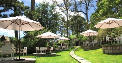 10 quán cafe trong rừng đẹp nhất ở đà lạt