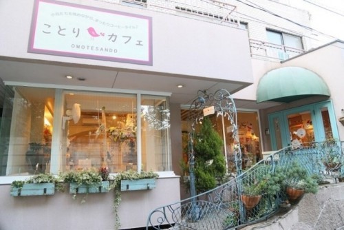 10 quán cà phê thú cưng đẹp nhất tokyo, nhật bản