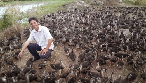 10 mô hình chăn nuôi độc đáo nhất Việt Nam hiện nay