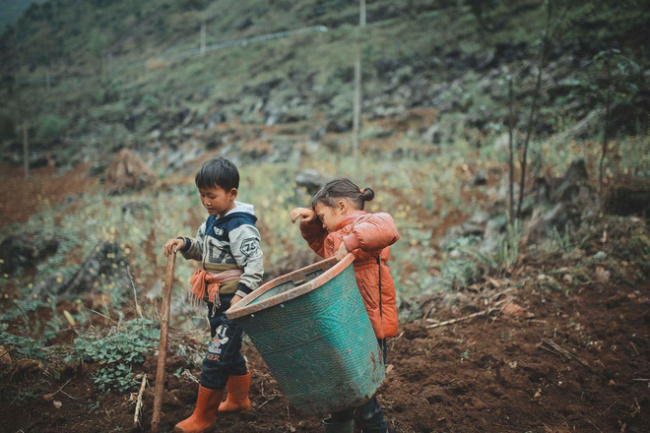 childrenin the highlands, customs and customs, ha giang highlands, ha giang stone plateau, inclement weather, photographers, production labor, pursuit of dreams, vietnamese people, 2 hmong babies picked up the dirt, sowed parents seeds and smiled to make many people “melt”