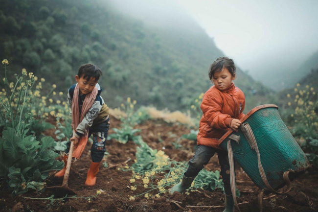 childrenin the highlands, customs and customs, ha giang highlands, ha giang stone plateau, inclement weather, photographers, production labor, pursuit of dreams, vietnamese people, 2 hmong babies picked up the dirt, sowed parents seeds and smiled to make many people “melt”