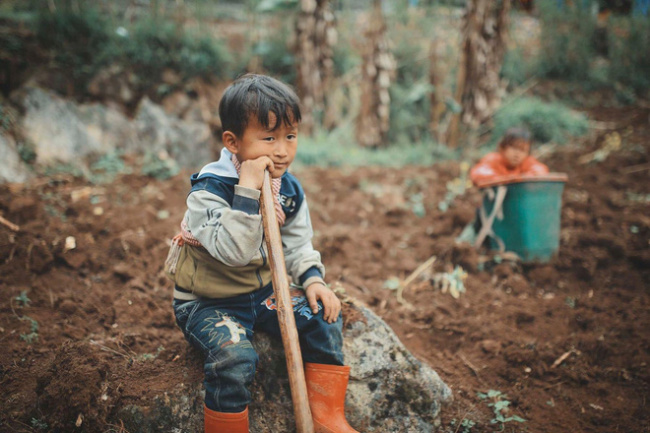 childrenin the highlands, customs and customs, ha giang highlands, ha giang stone plateau, inclement weather, photographers, production labor, pursuit of dreams, vietnamese people, 2 hmong babies picked up the dirt, sowed parents seeds and smiled to make many people “melt”