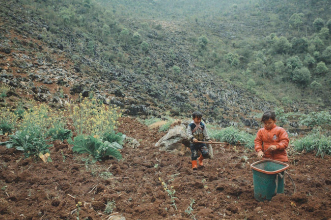 childrenin the highlands, customs and customs, ha giang highlands, ha giang stone plateau, inclement weather, photographers, production labor, pursuit of dreams, vietnamese people, 2 hmong babies picked up the dirt, sowed parents seeds and smiled to make many people “melt”