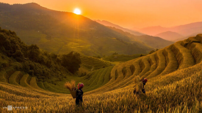 Autumn harvest, sunshine hues in Vietnam’s northern highlands