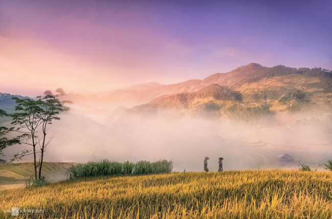 autumn harvest, cao bang provinces, compasss travel vietnam, hanoi, yen bai, autumn harvest, sunshine hues in vietnam’s northern highlands