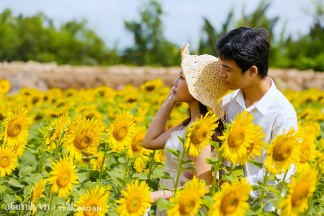 field trip, just in september, the field of sunflowers and lotus lagoons right in saigon has bloomed as beautifully as tet, costing 40,000 vnd to see all day long!