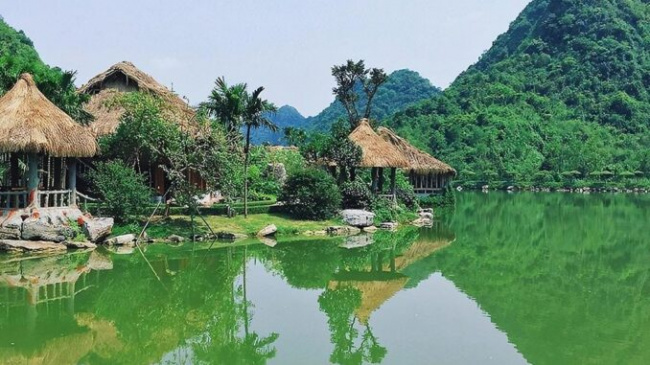 The most detailed experience of Thung Nham Ninh Binh Bird Park
