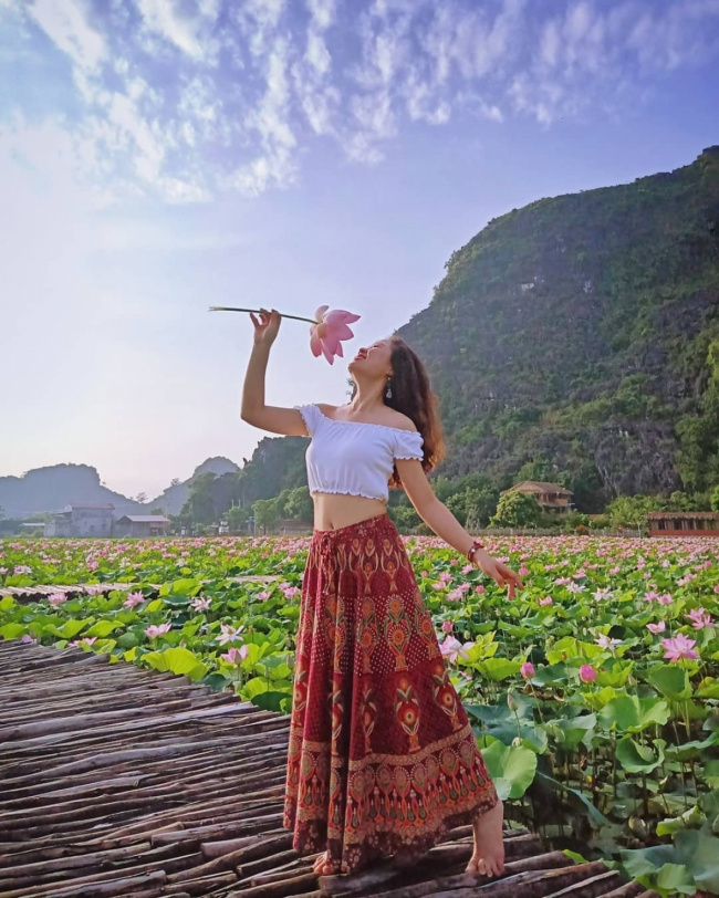 compass travel vietnam, lotus pond, mua cave, ngoa long, ninh binh, ninh binh province, ninh binh travel, ninh xuan commune, travel vietnam, amazing lotus blossoming in early autumn