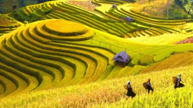 Five must-visit destinations in Vietnam