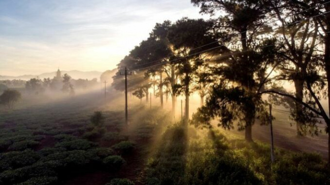 gia lai, misty landscape, photography, pleiku, tourism, travel, vietnam, gia lai smothered in fog at dawn