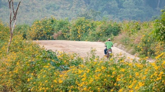 best destinations in gia lai vietnam, central highlands volcano, chu dang ya, compass travel vietnam, gia lai, gia lai vietnam travel guide, vietnam tourism, vietnam travel, volcano eruption, what to do in gia lai vietnam, wild sunflowers, wild sunflowers dye central highlands golden