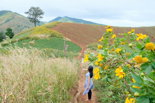 best destinations in gia lai vietnam, central highlands, chu dang ya mountain, chu dang ya volcano, church, compass travel vietnam, gia lai, gia lai vietnam travel guide, vietnam tourism, vietnam travel, what to do in gia lai vietnam, 100-year-old christian vestige finds refuge in volcano’s shadow