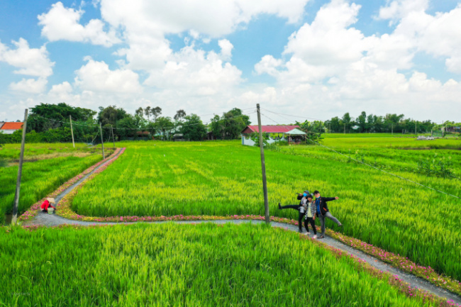 travel ho chi minh city, the ten o’clock flower road runs among the rice fields