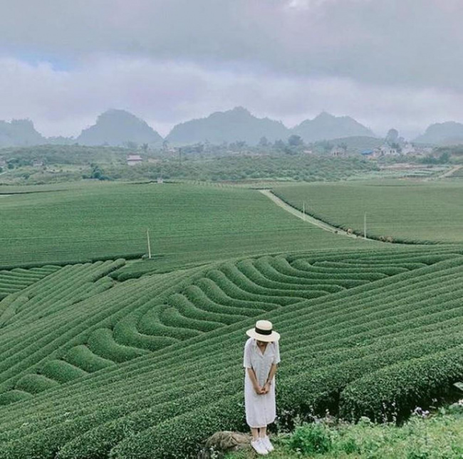 Visit dreamlike places in the Northern Vietnam when summer comes