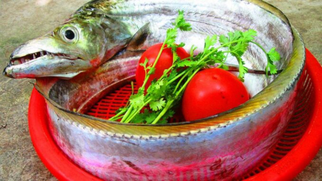 Going along the Central Vietnam region to enjoy the delicious sea food