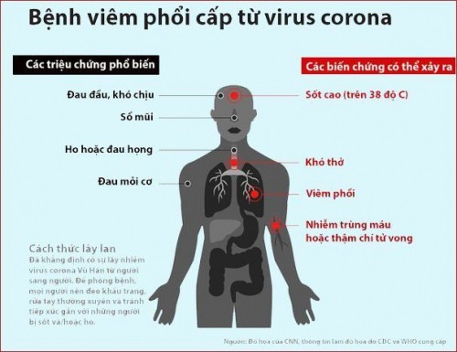 6 điều cần biết về virus corona gây viêm phổi cấp ở vũ hán