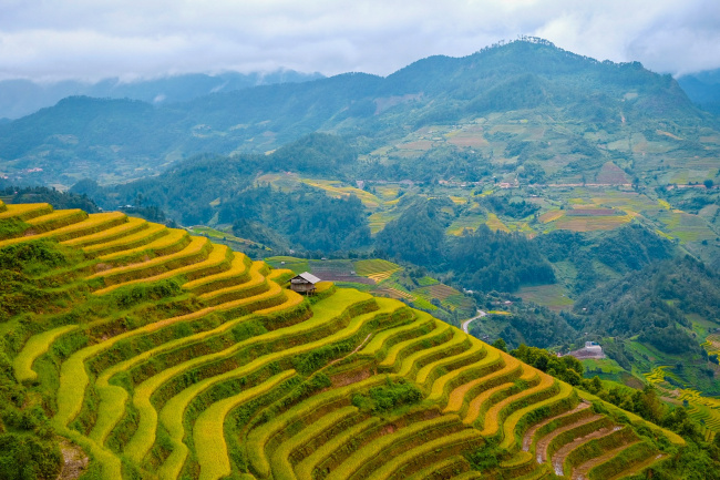 best destinations in yen bai vietnam, compass travel vietnam, mu cang chai vietnam, travel to vietnam, what to do in yen bai vietnam, yen bai vietnam travel guide, journey over 2000km to conquer the “golden season” of mu cang chai