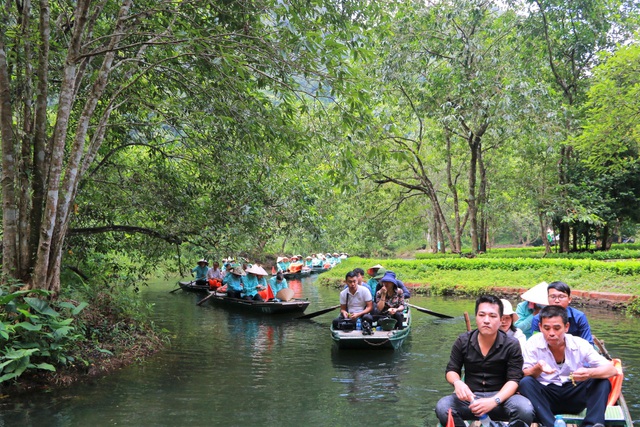 best destinations in ninh binh vietnam, compass travel vietnam, ninh binh vietnam travel guide, trang an ninh binh, travel to vietnam, what to do in ninh binh vietnam, at the very eye of the ancient forest, thousands of trees in the middle of the trang an heritage core zone