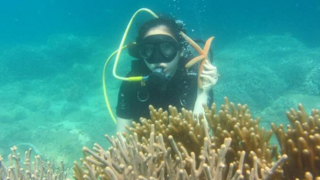 Travel Nha Trang Vietnam to join scuba diving tour to see coral
