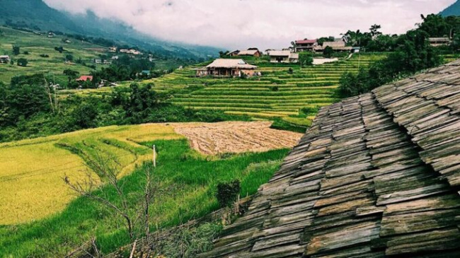Lao Cai Vietnam tourism ripe rice season, pilgrimage in the magical spiritual realm
