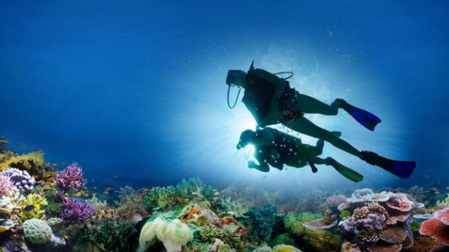 Things to know before joining Nha Trang scuba diving tour