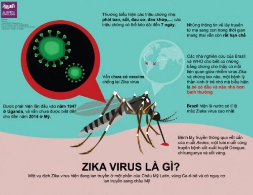 8 căn bệnh do muỗi chích gây nguy hiểm cho trẻ