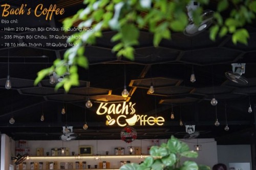 3 quán cà phê cá koi thu hút khách nhất tại Quảng Ngãi