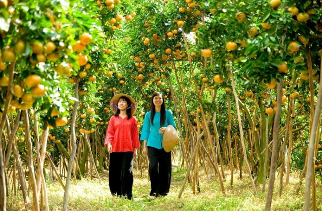 best destinations in ho chi minh city vietnam, compass travel vietnam, fruit gardens near saigon, ho chi minh city vietnam travel guide, travel to vietnam, ‘take a look at’ the most famous fruit gardens near saigon (part 1)