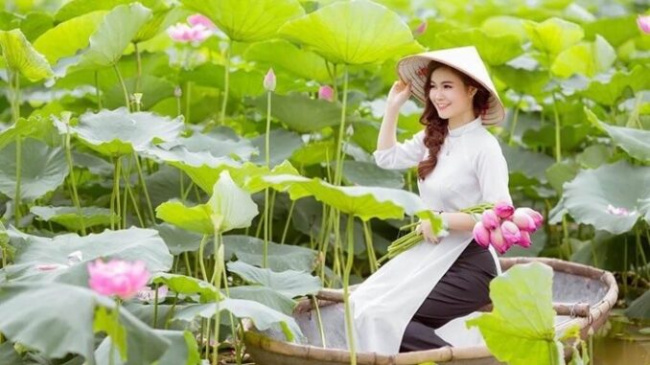 Looking for a place to shoot lotus around Hanoi makes young people fever