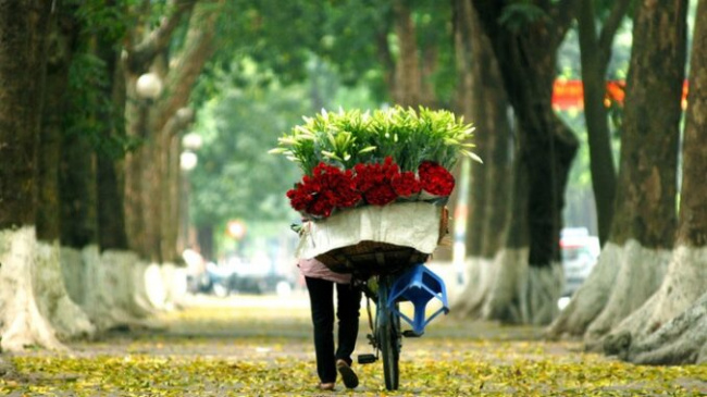 Stop on the most beautiful autumn streets in Hanoi