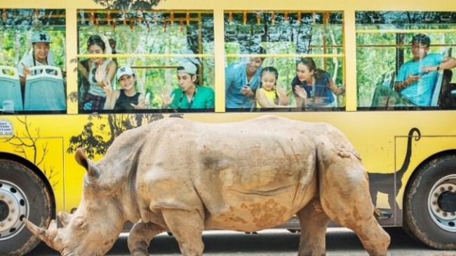 Experience Phu Quoc Safari to explore the animal world