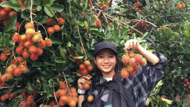 Quickly check in Vinh Kim Tien Giang fruit garden is in season