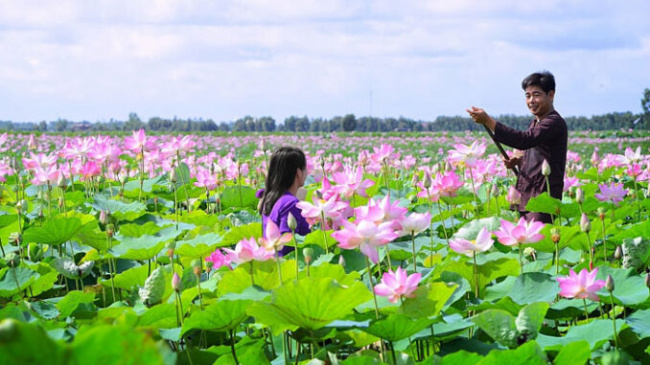 Coming to Dong Thap, do not forget to travel to Sa Dec – the paradise of Tet flowers