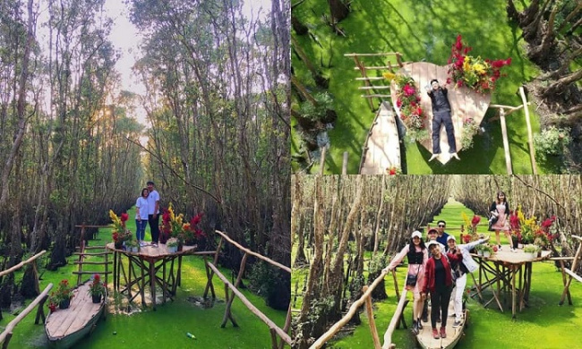 an giang, an giang inside guide, an giang itinerary, an giang travel guide, an giang vietnam, compass travel vietnam, tra su melaleuca forest, transport to an giang, travel to an giang, travel to vietnam, check-in tra su melaleuca forest right before the end of the flooding season with these tips!