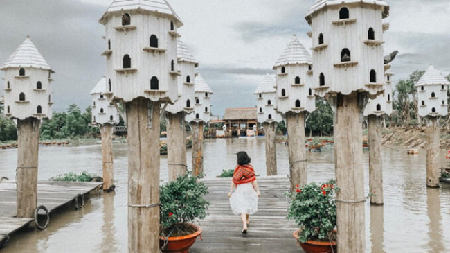 ‘Fever’, the beautiful bird’s nest pier like Europe in An Giang