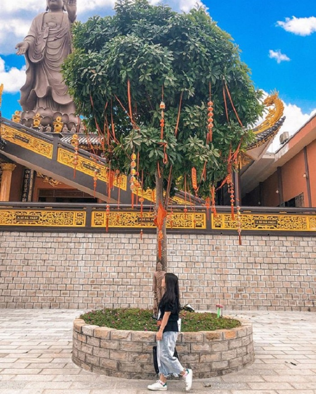 an giang, an giang inside guide, an giang itinerary, an giang travel guide, an giang vietnam, beautiful an giang pagoda, compass travel vietnam, transport to an giang, travel to an giang, travel to vietnam, attendance to the beautiful an giang pagoda is irresistible to check in