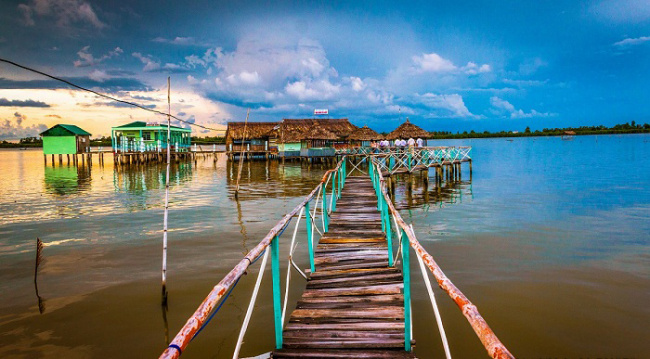 ca mau inside guide, ca mau itinerary, ca mau travel guide, ca mau vietnam, compass travel vietnam, mekong delta, transport to ca mau, travel to ca mau, travel to vietnam, amazon, pocket travel experience ca mau – experience the southernmost land of the country