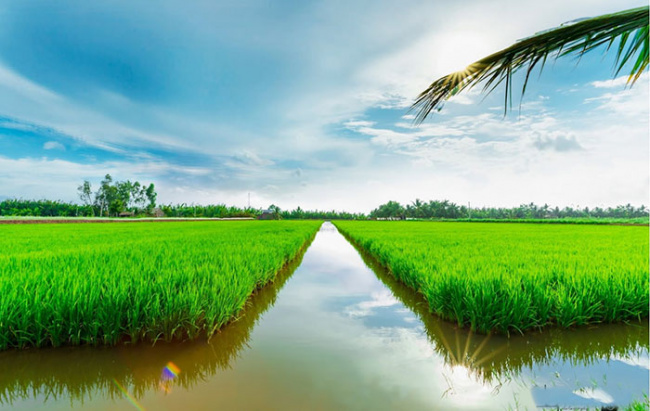 compass travel vietnam, mekong delta, tra vinh inside guide, tra vinh itinerary, tra vinh travel guide, tra vinh vietnam, transport to tra vinh, travel to tra vinh, travel to vietnam, experience the cool green con chim tra vinh tourist area in the plain