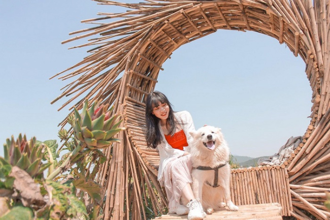 compass travel vietnam, dalat inside guide, dalat itinerary, dalat travel guide, dalat vietnam, pet cafes in dalat, transport to dalat, travel to dalat, travel to vietnam, top pet cafes in dalat are super pretty and lovely