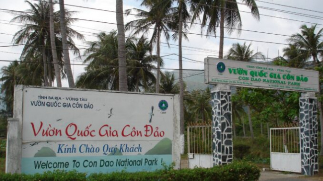 Immerse yourself in the green natural space at Con Dao National Park
