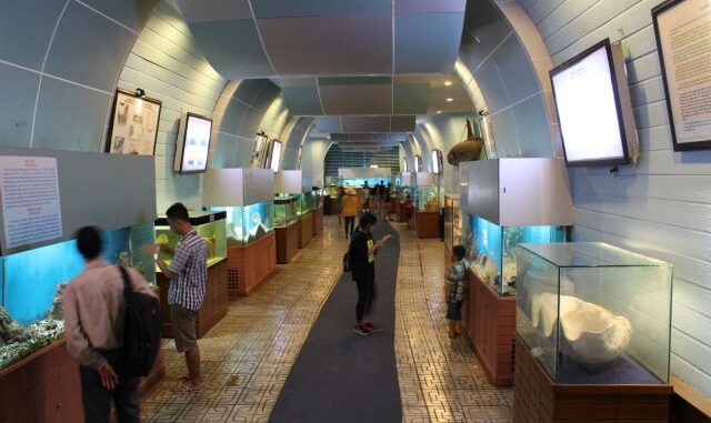Lost in the mysterious ocean world at Nha Trang Institute of Oceanography